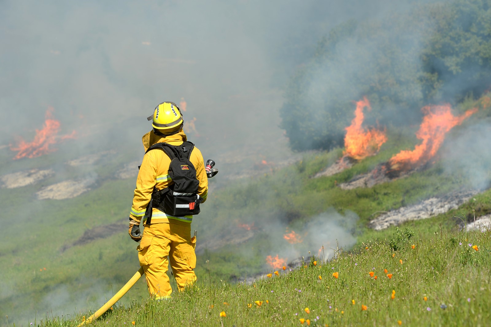 MIJ-L-WILDFIRE-0414-08_1059847108.jpg