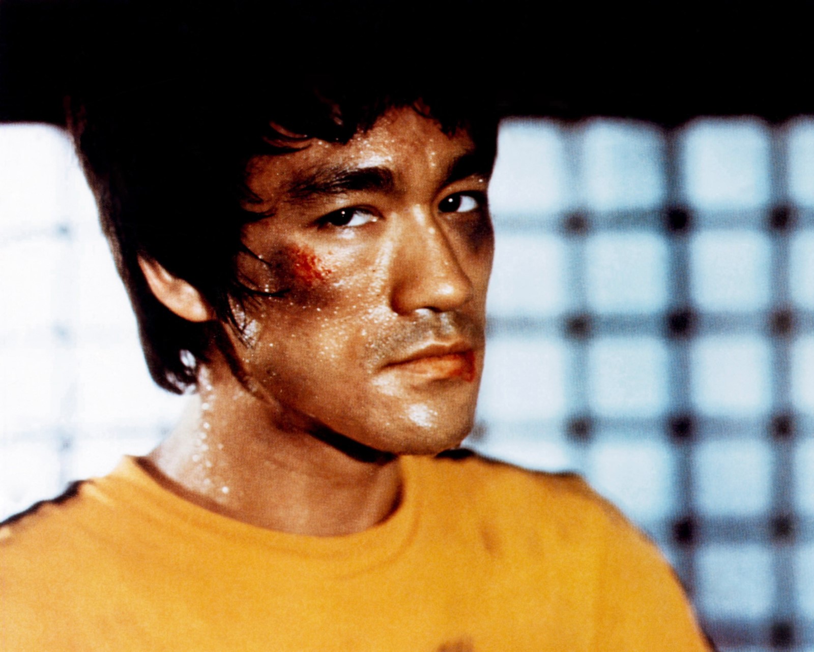 OCR-L-BOOKS-BRUCELEE-1019-08_1098735303.jpg