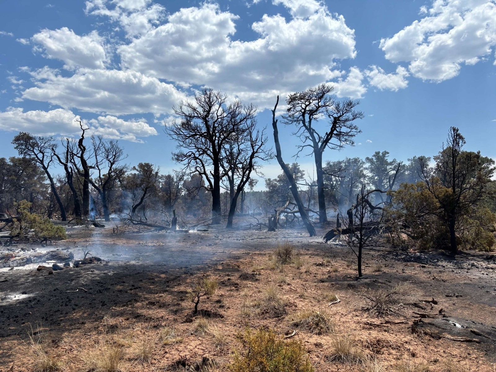 tdp-l-sowbelly-fire-bureau-land-management-01#2_1095339371.jpg