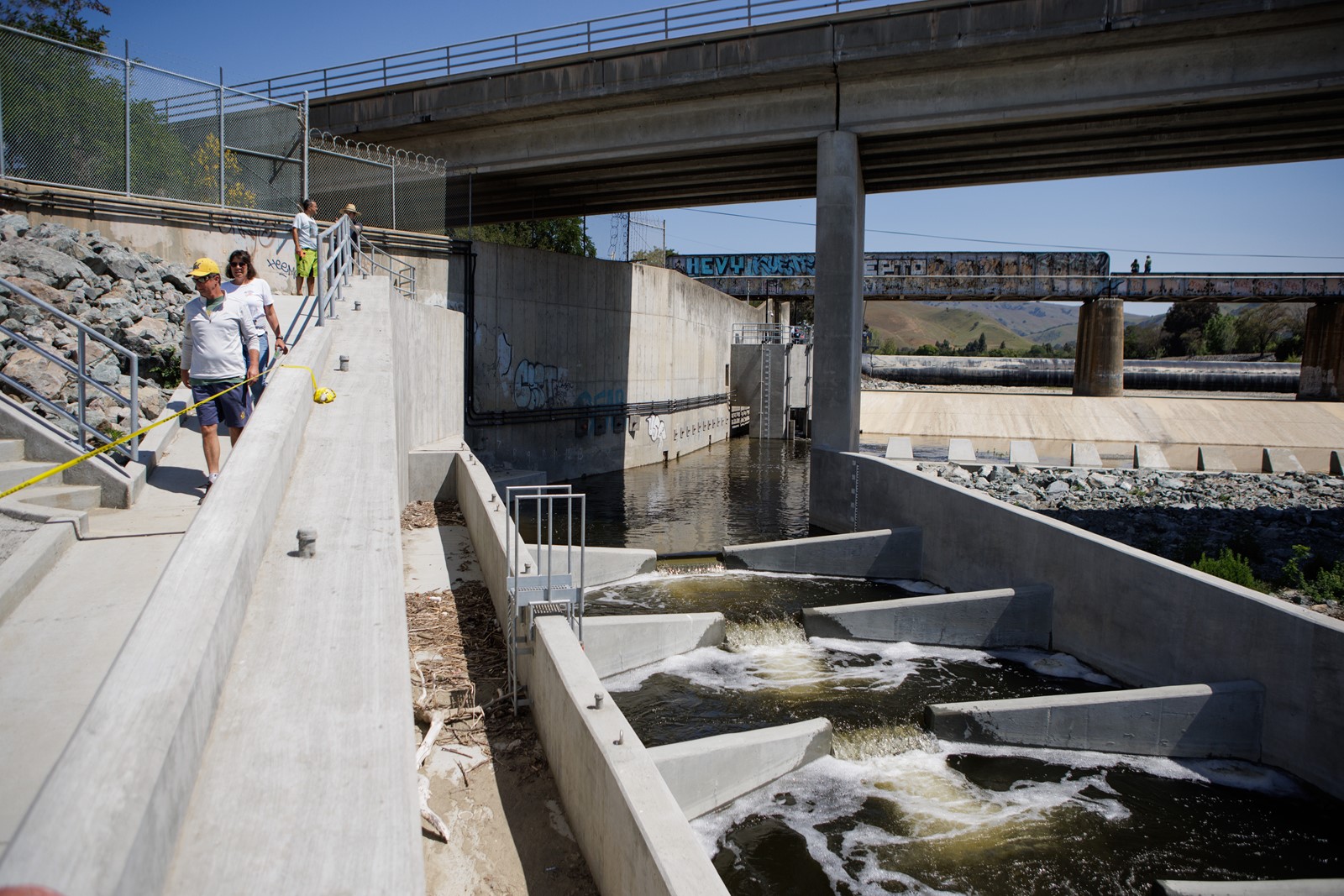 SJM-L-FISHPASS-0426-1_1052928583.jpg
