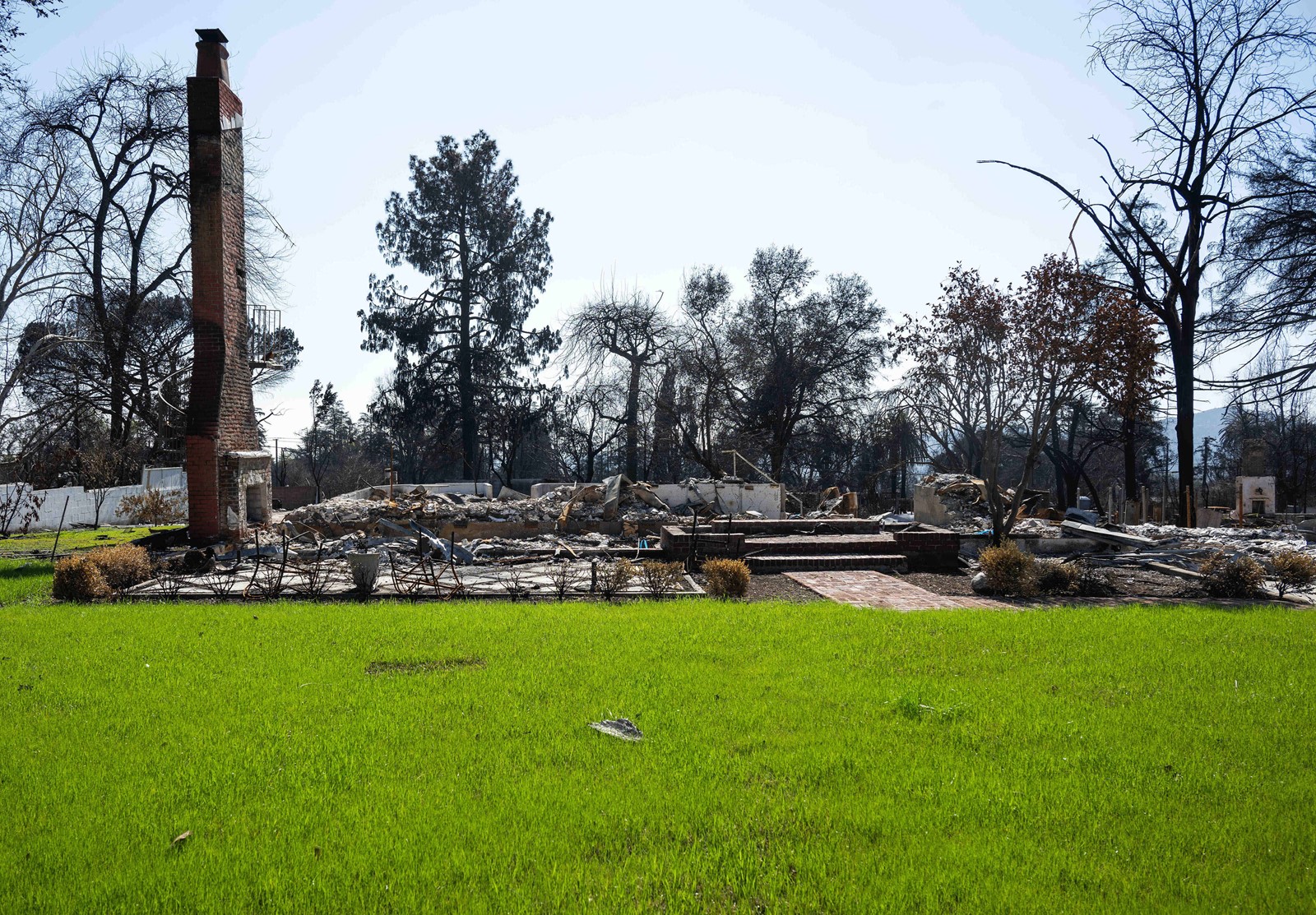 0221_NWS_PAS-L-A2-ALTADENA-GRASS-0223_1090036158.jpg