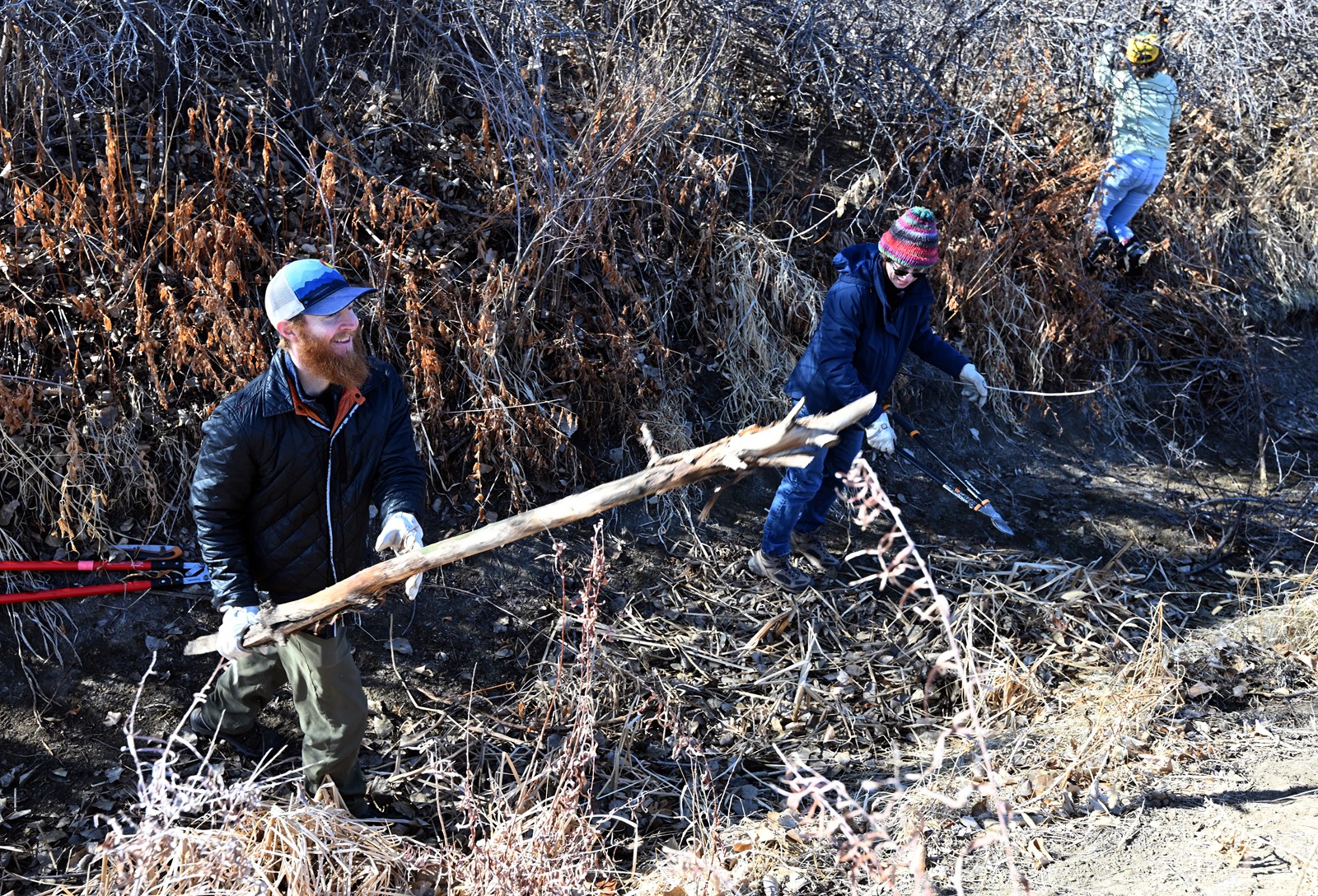 DCC-L-ditch23_1090626272.jpg