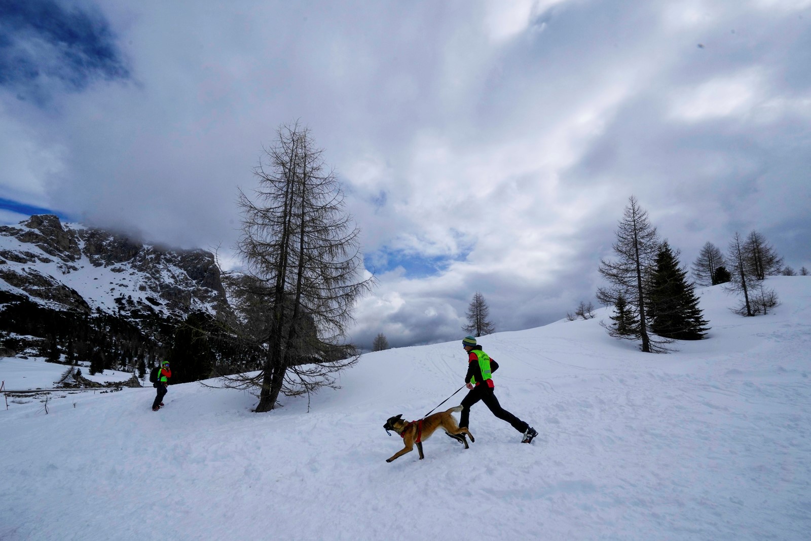 Italy_Avalanche_Rescue_Dogs_94816--e66a4_1091786641.jpg