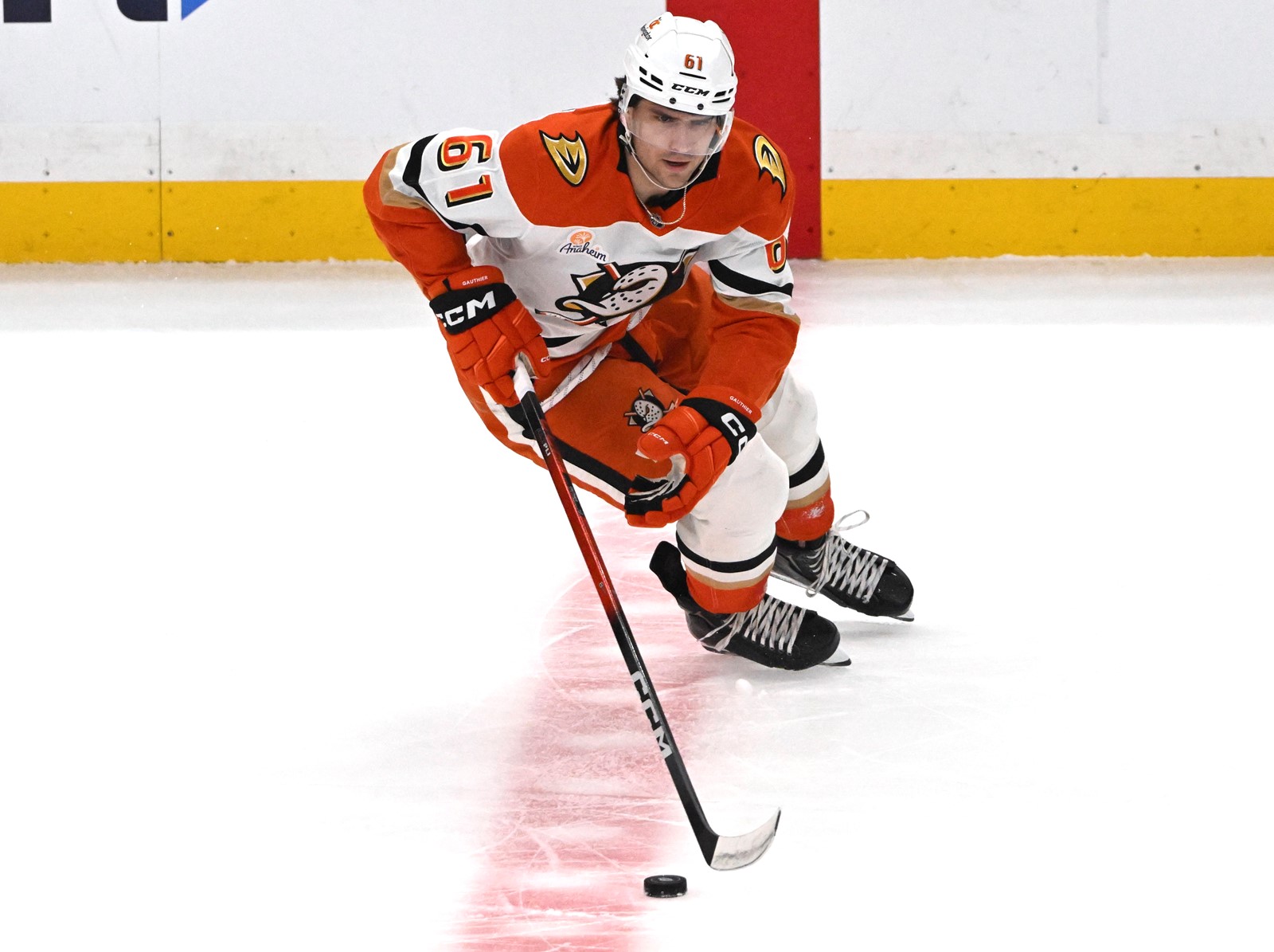 0716_NWS_LDN-L-DUCKS-KINGS-0411-KB16_225919944_1095397491.jpg