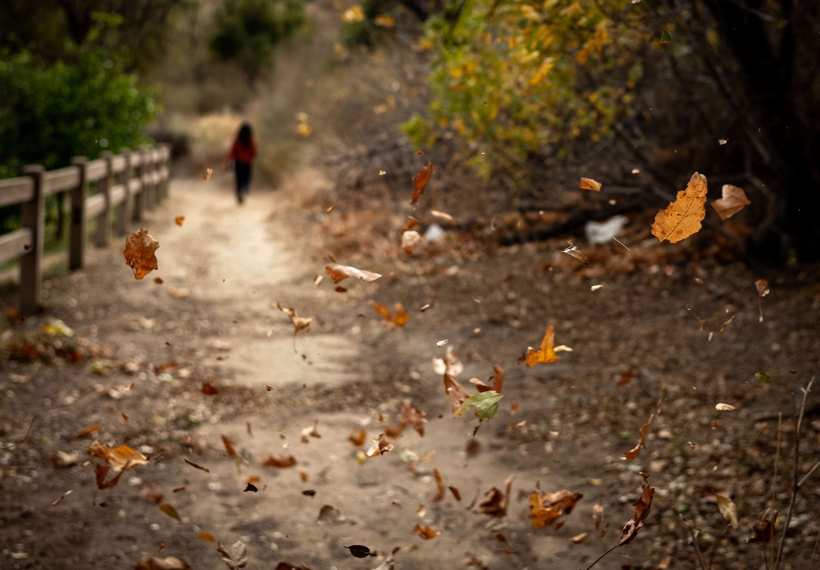 1213_NWS_LDN-L-A2-LATE-FALL-WALK-1214_1087577999.jpg