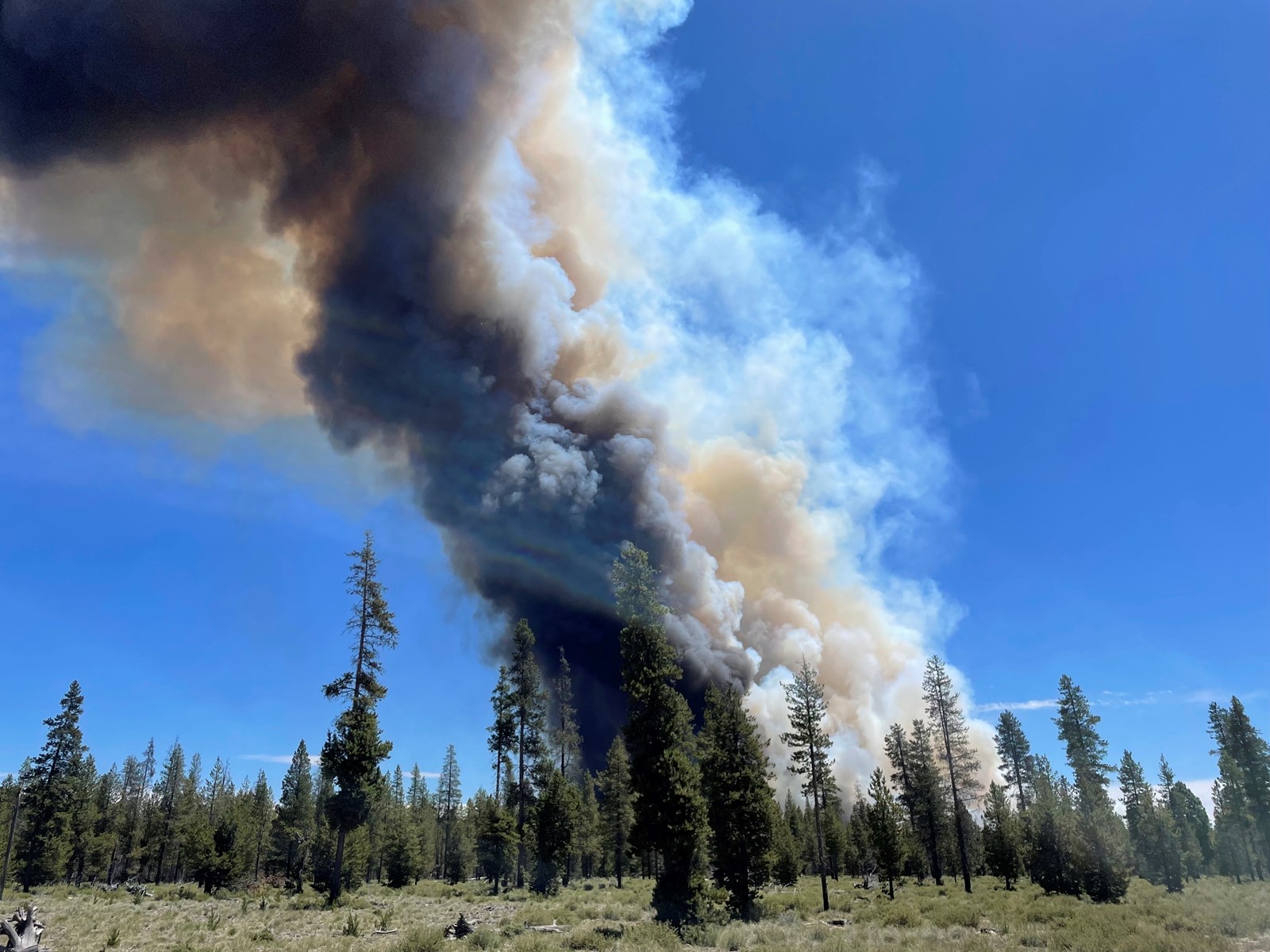 Wildfire_Hazard_Map_Oregon_43479--676d9_1088366787.jpg