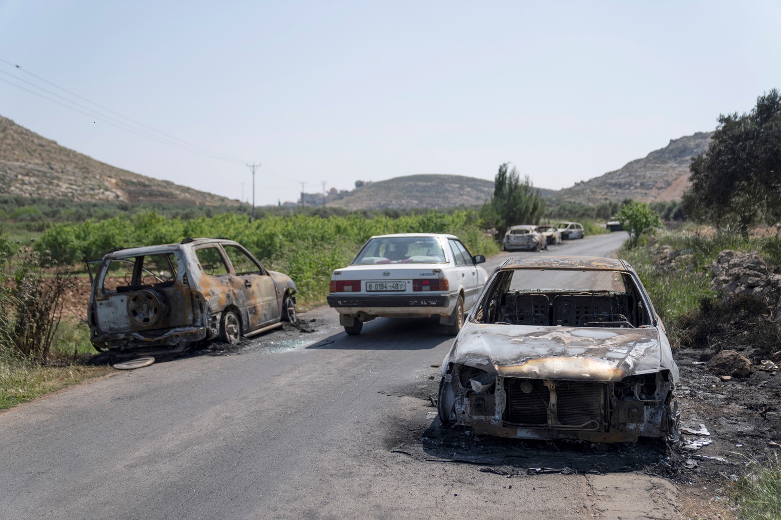 Israel_Palestinians_22752--4239d_1077409565.jpg