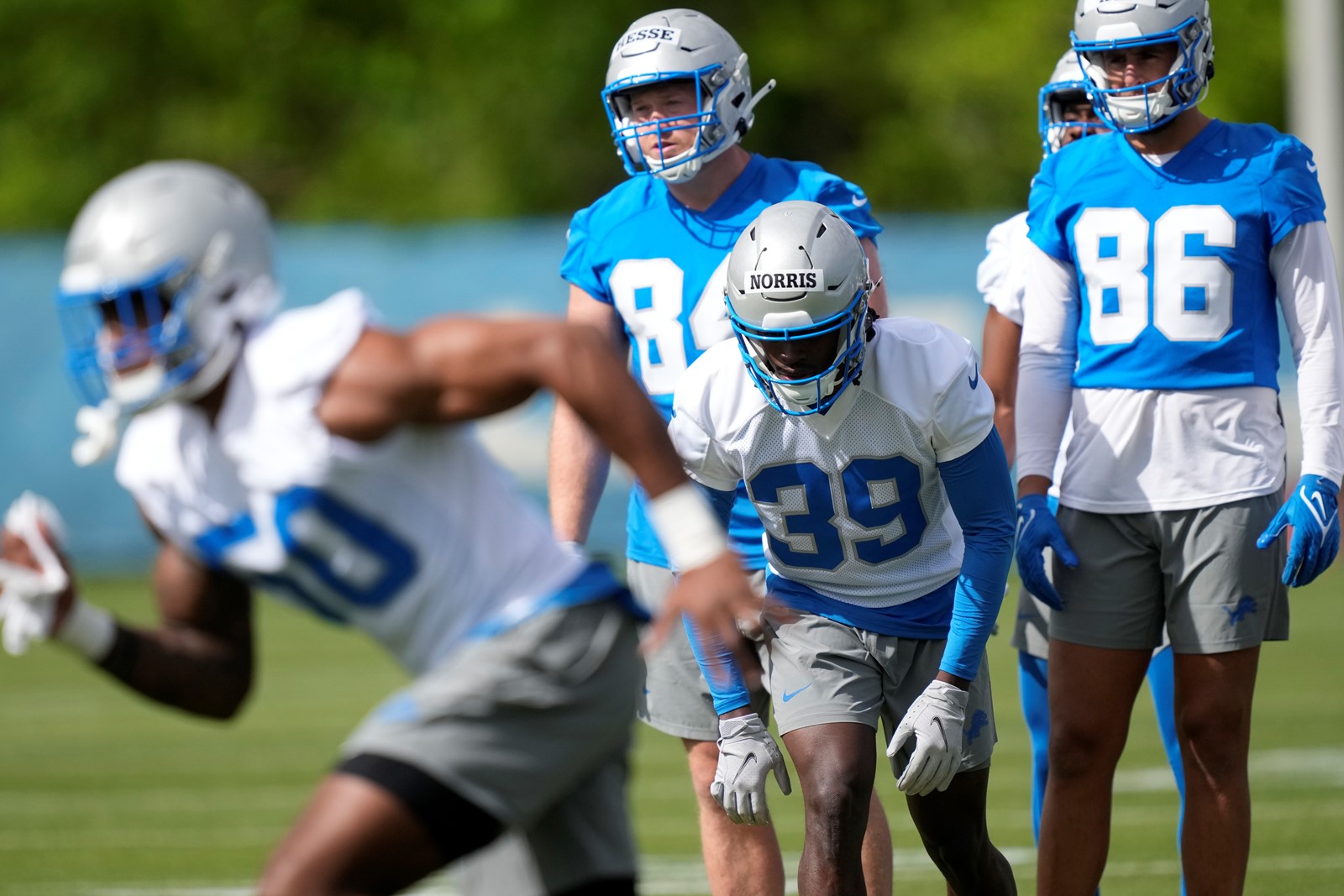 TOP-L-Lions-01_1078808220.jpg