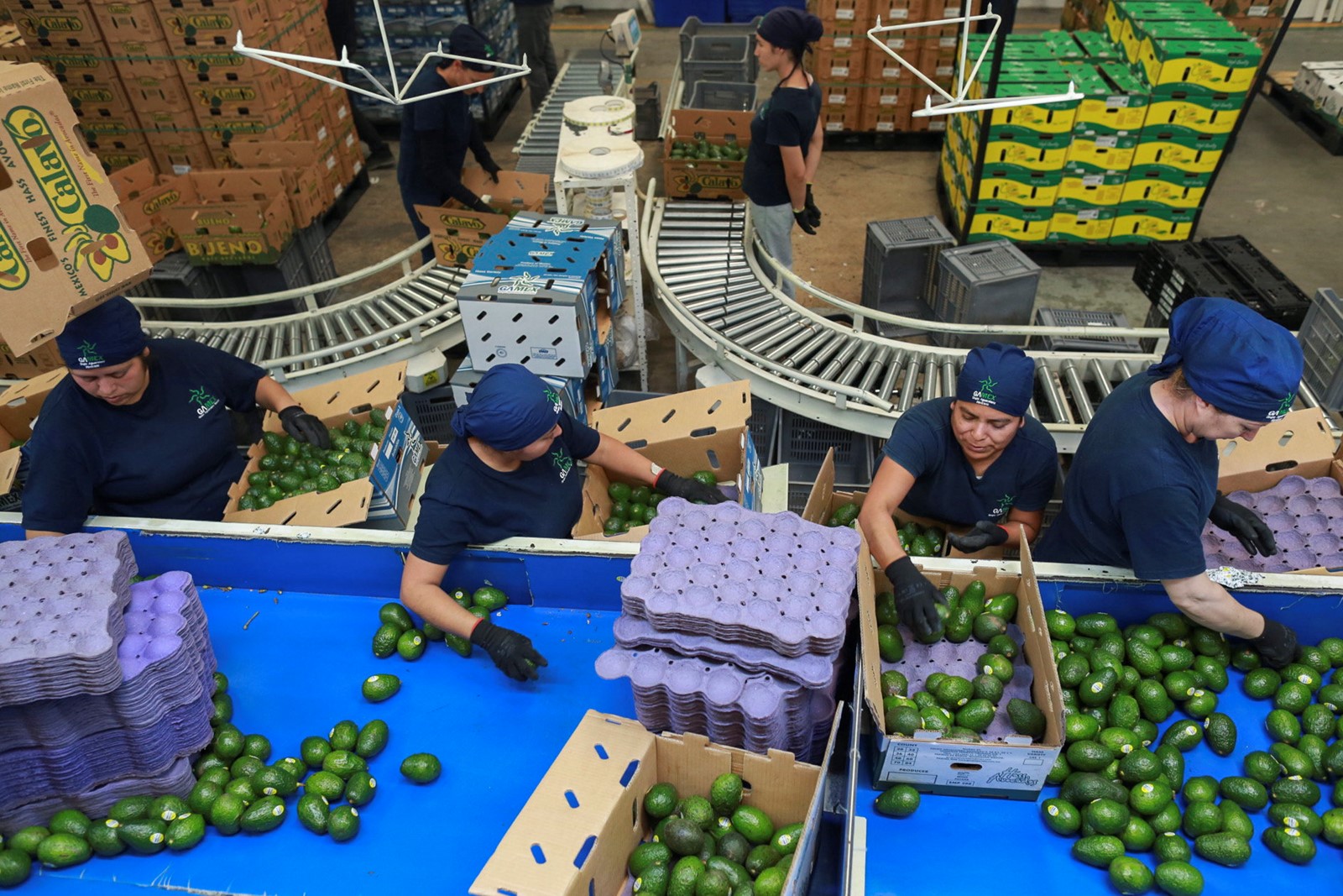 Mexico_US_Tariffs_04756--8f11d_1087203791.jpg