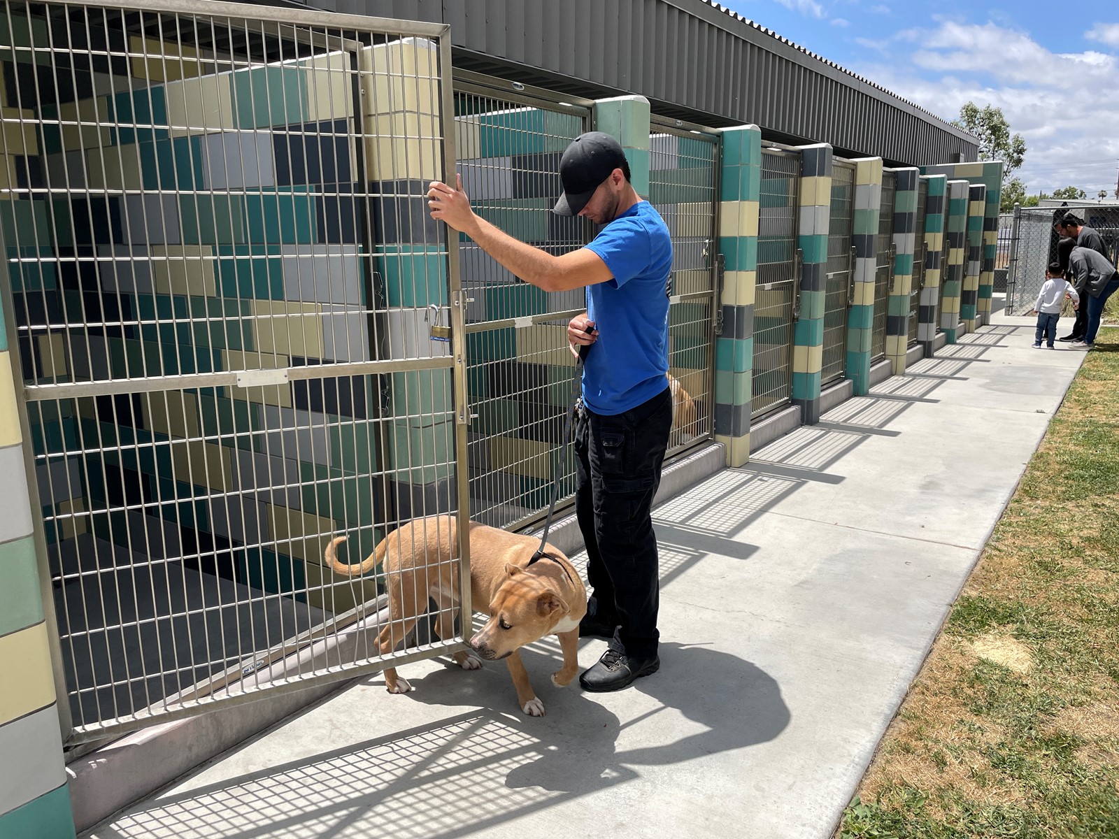 0214_NWS_RPE-L-FOSTERPETS-0217-02_219832507_1089809711.jpg