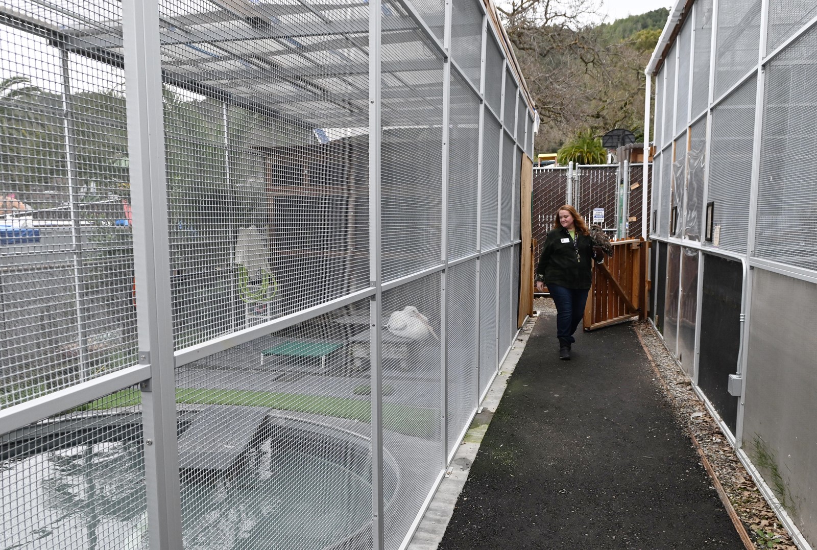 MIJ-L-WILDCARE-0205-01_1089427747.jpg