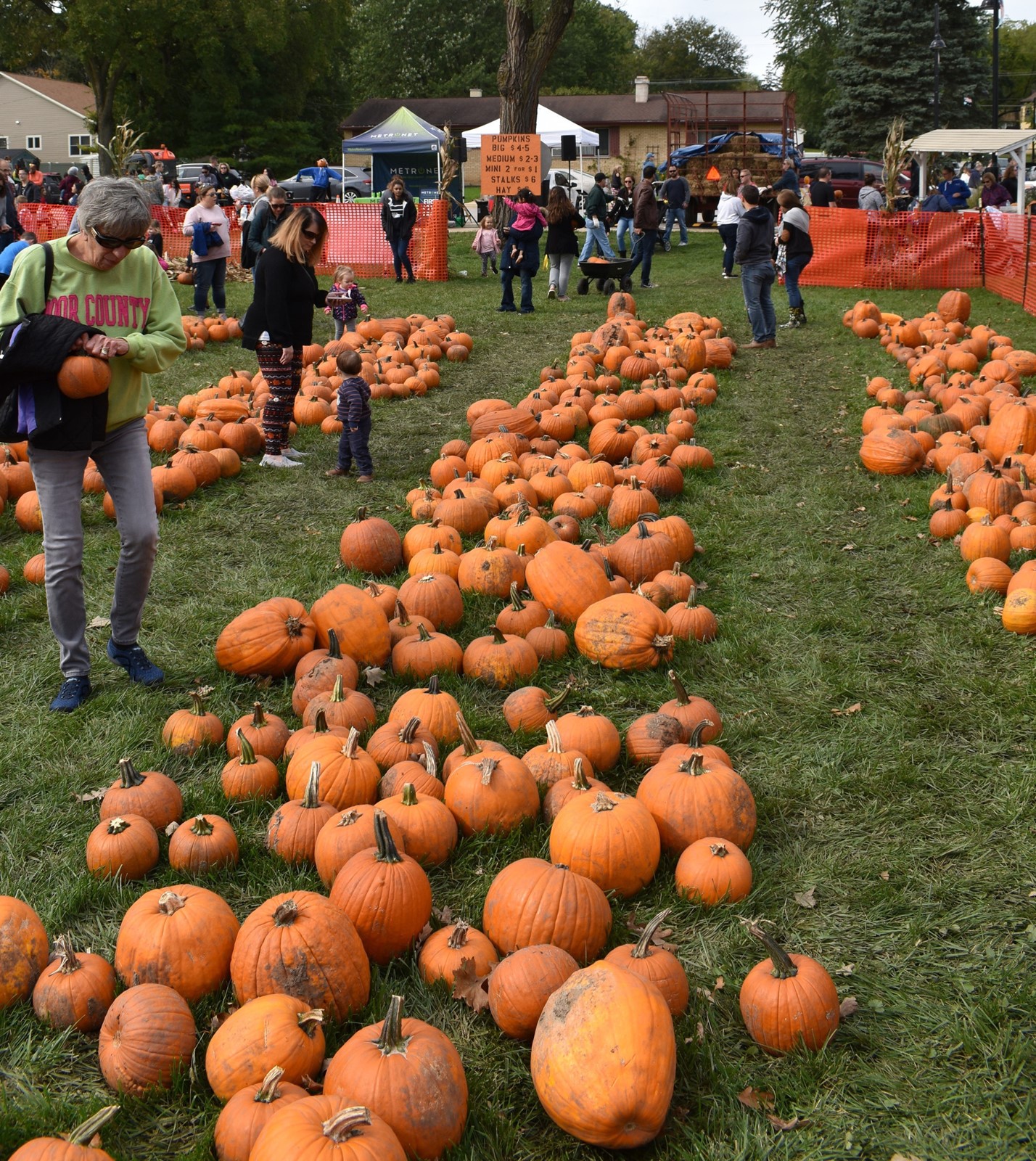CT_IC_1017836552_1017879222_001-0924_gin-pumpkin-fest-st-0922_4.jpg