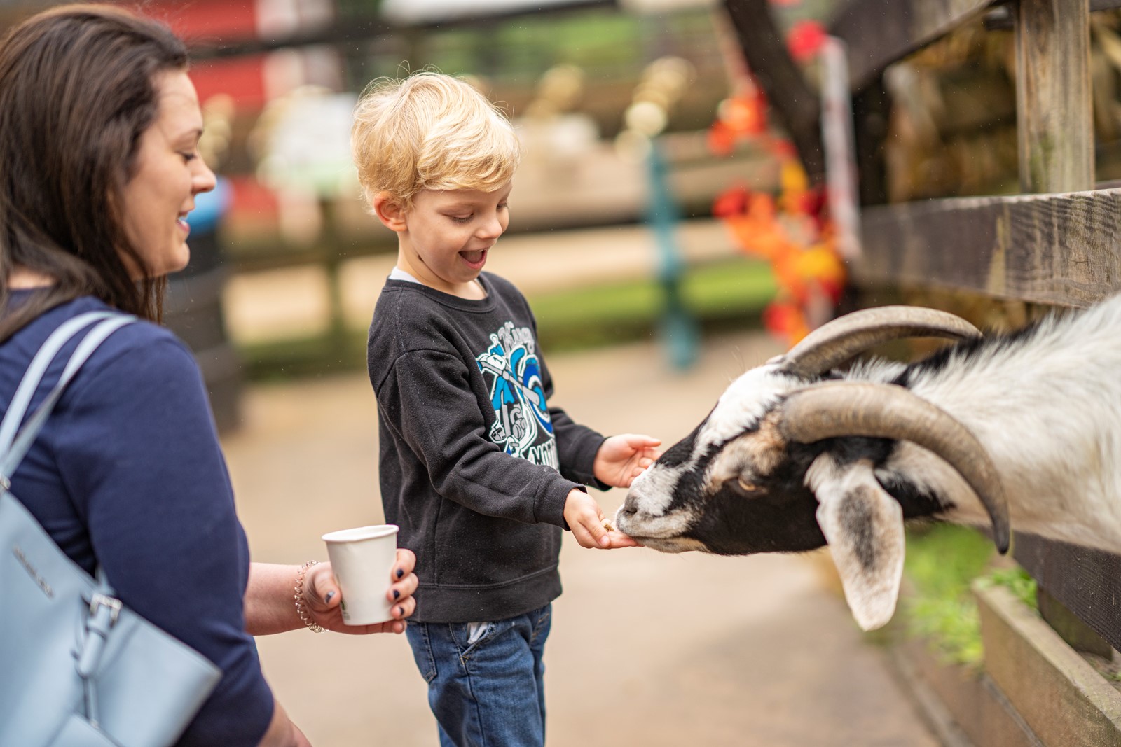 CT_IC_1053434817_1053474560_001-0302_ECN-L-zoo-01.jpg