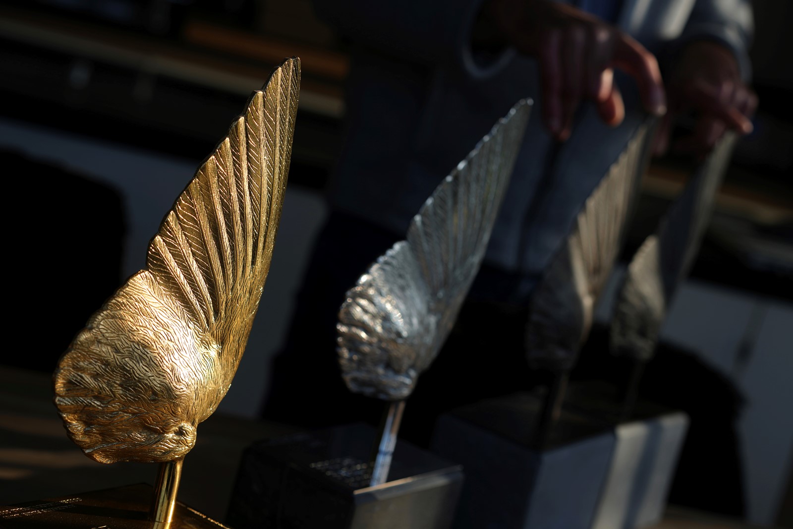 CT_IC_1052178761_1052154909_007-0119_Belgium_Grand_Theft_Pigeon_66418--50e67.jpg