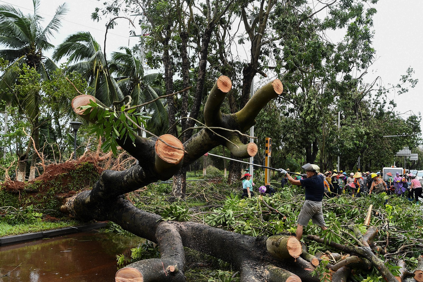 CT_IC_1048412690_1048475673_006-0908_China_Asia_Typhoon_28541--d1c1d.jpg