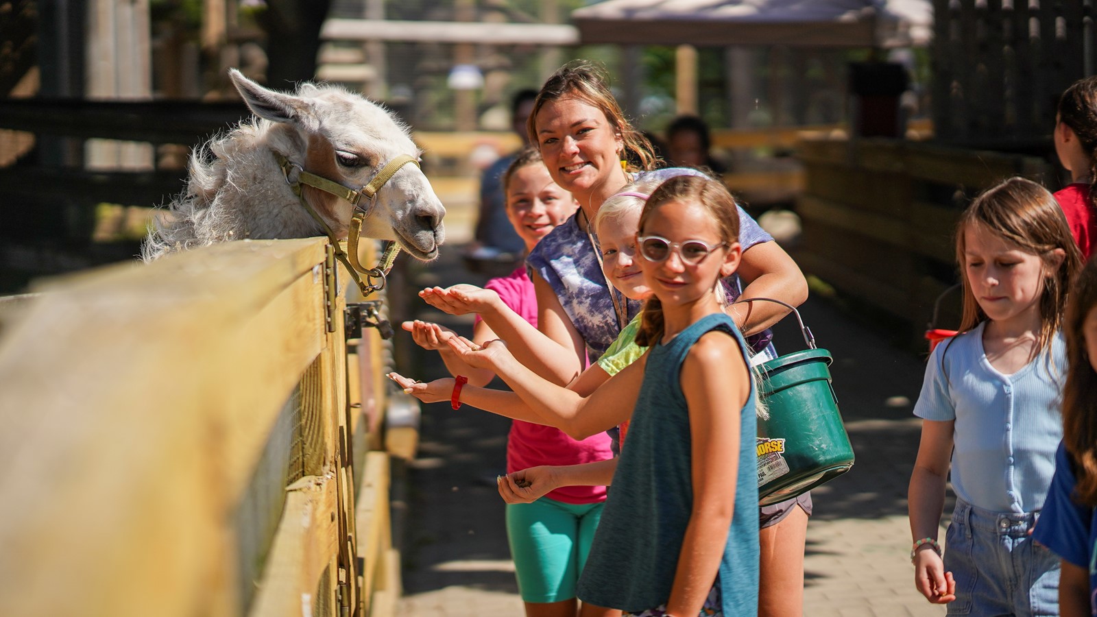 CT_IC_1053434817_1053474561_001-0302_ECN-L-zoo-01_bab0fb.jpg